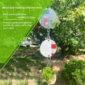 דיסקיות כסף מראה להרחקת ציפורים